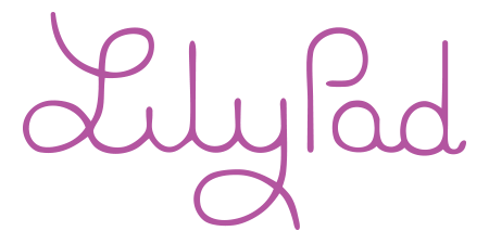 LilyPad Board