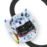 DIY Mini Smart Cat Tracking Robot