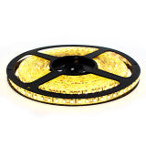 LED 5050 Strip Light, 5M Reel, IP20, 12V, 60 LEDs/M